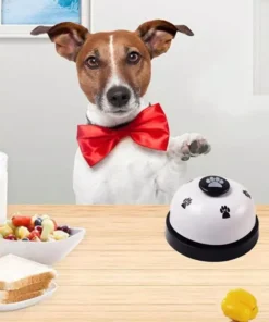 Dog Training & Call Bell
