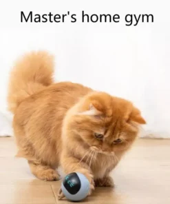 Smart Interactive LED Cat Ball Toy