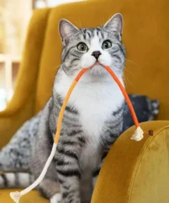 Interactive Cotton Rope Cat Teaser Toy Durable & Catnip-Scented