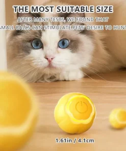 Interactive Magic Rolling Ball: Electric Toy for Indoor Cats