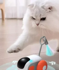 Interactive Gravity Sports Car Remote Control Cat Toy