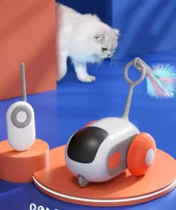 Interactive Gravity Sports Car Remote Control Cat Toy