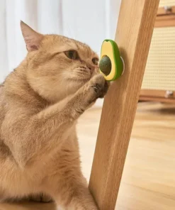 Avocado Catnip Lickable Toy Ball: Healthy & Interactive Treat for Cats