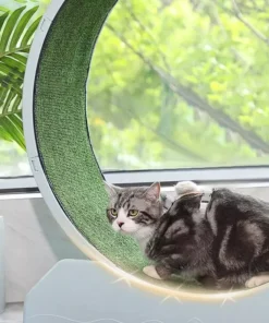 Quiet Cat Exercise Wheel