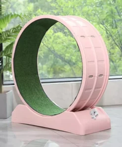 Quiet Cat Exercise Wheel