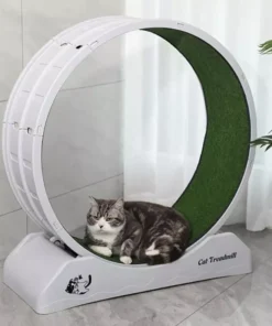 Quiet Cat Exercise Wheel