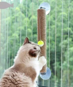 Deluxe Window-Mount Cat Scratcher