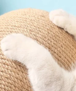 Ball Cat Scratcher Eco-Friendly Paws Grinder