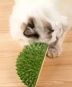 Multifunctional Durian Cat Toy Scratch Comb Massage