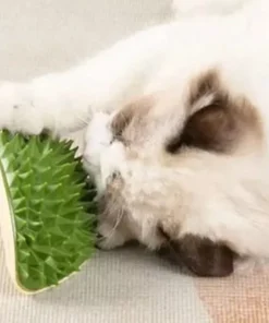 Multifunctional Durian Cat Toy Scratch Comb Massage
