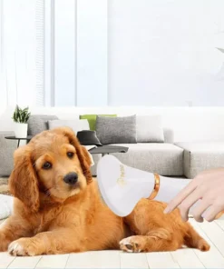 Hair Dryer and Comb Brush Portable Dog Hair Blower Adjustable Temperature Low Noise Pet Grooming Hair Dryer Puppy Fur Blower