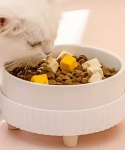 Eco-Friendly USB Rechargeable Heated Pet Water Bowl for All Dog Breeds