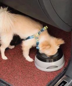Splash-Proof Travel Pet Bowl