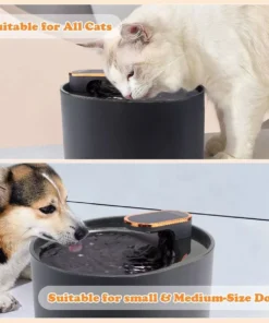 3L Smart Cat Water Fountain with Motion Sensor & LED Light