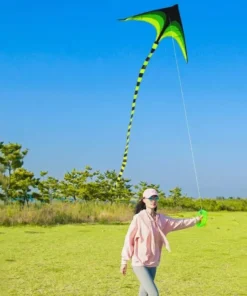 Large Delta Kite for Outdoor Sports