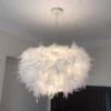 Enchanting Feather Pendant Lamp