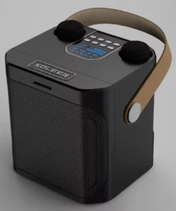 High Power Portable Wireless Bluetooth 5.3 Speaker System with Dual Microphone for Home KTV & Outdoor Entertainment