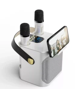 High Power Portable Wireless Bluetooth 5.3 Speaker System with Dual Microphone for Home KTV & Outdoor Entertainment