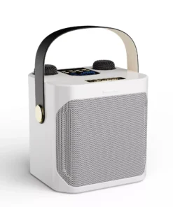 High Power Portable Wireless Bluetooth 5.3 Speaker System with Dual Microphone for Home KTV & Outdoor Entertainment