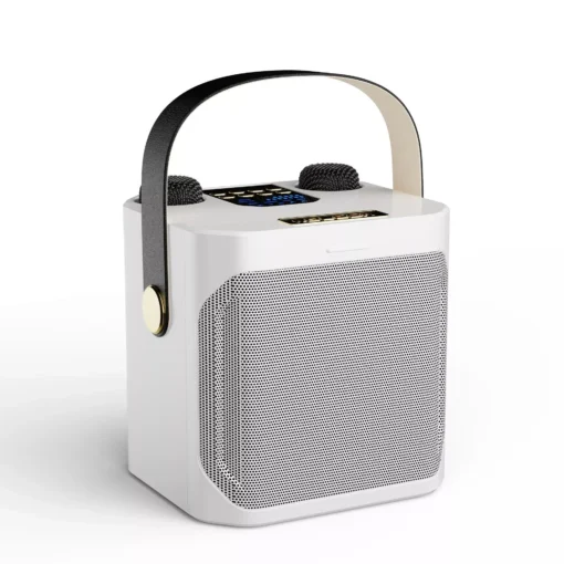 High Power Portable Wireless Bluetooth 5.3 Speaker System with Dual Microphone for Home KTV & Outdoor Entertainment