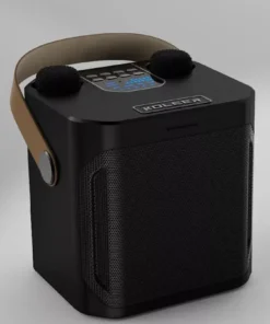High Power Portable Wireless Bluetooth 5.3 Speaker System with Dual Microphone for Home KTV & Outdoor Entertainment