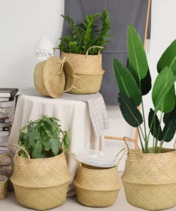 Versatile Wicker Seagrass Planter and Storage Basket