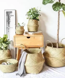 Versatile Wicker Seagrass Planter and Storage Basket