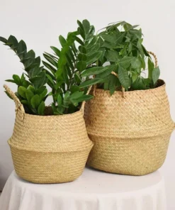 Versatile Wicker Seagrass Planter and Storage Basket