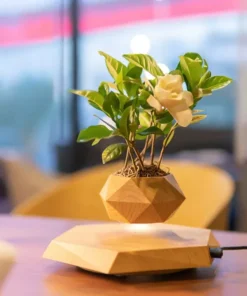 Floating Plant Pot Levitating Plant Pot for Succulents