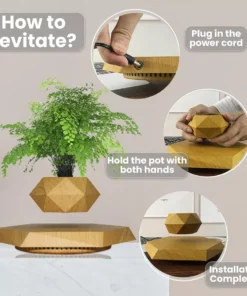 Floating Plant Pot Levitating Plant Pot for Succulents