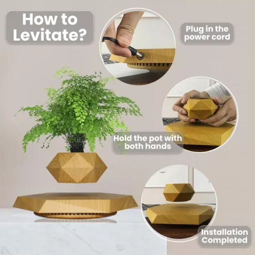 Floating Plant Pot Levitating Plant Pot for Succulents