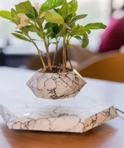 Floating Plant Pot Levitating Plant Pot for Succulents