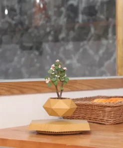 Floating Plant Pot Levitating Plant Pot for Succulents