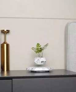 Floating Plant Pot Levitating Plant Pot for Succulents