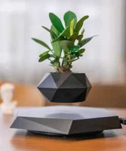 Floating Plant Pot Levitating Plant Pot for Succulents