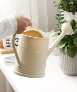 Efficient 2L Long-Spout Watering Can for Indoor and Outdoor Plants
