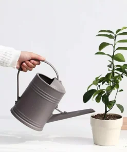 Efficient 2L Long-Spout Watering Can for Indoor and Outdoor Plants