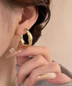 Luxurious Stainless Steel Geometric Hoop Earrings for Women