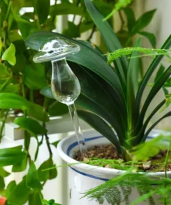 Garden Plant Watering Device Glass Flowers Water Feeder Automatic Self Watering Devices Bird Star Mushroom Design Plant Waterer