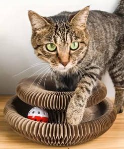 Magic Foldable Cat Scratch Board with Bell